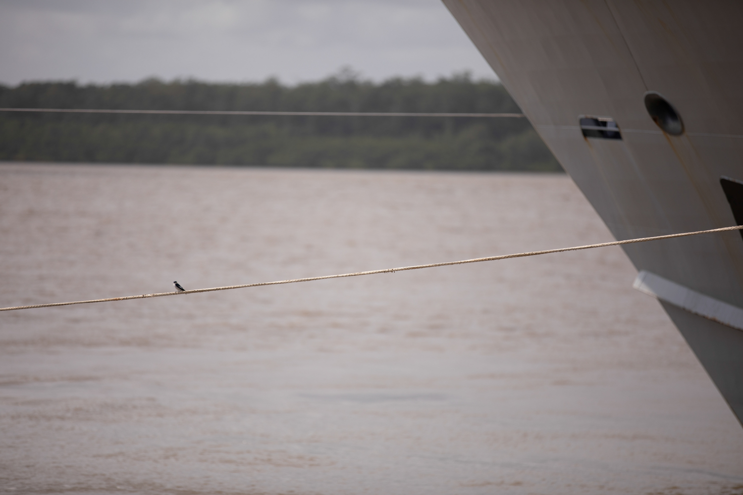 Line on the water, Elsewhere Is Here series — photograph by Jo Allaux