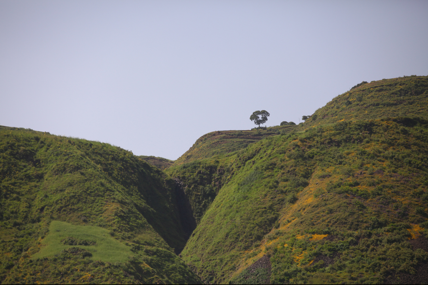 Landscape, Elsewhere Is Here series — photograph by Jo Allaux