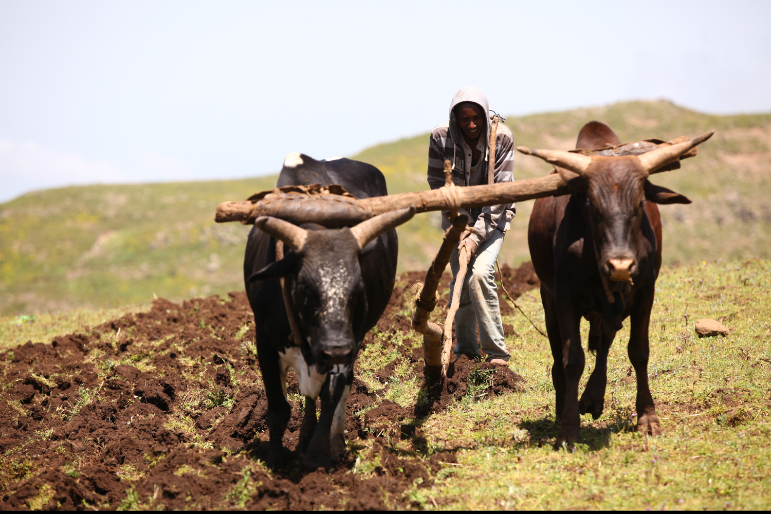 Ploughing, Elsewhere Is Here series — photograph by Jo Allaux