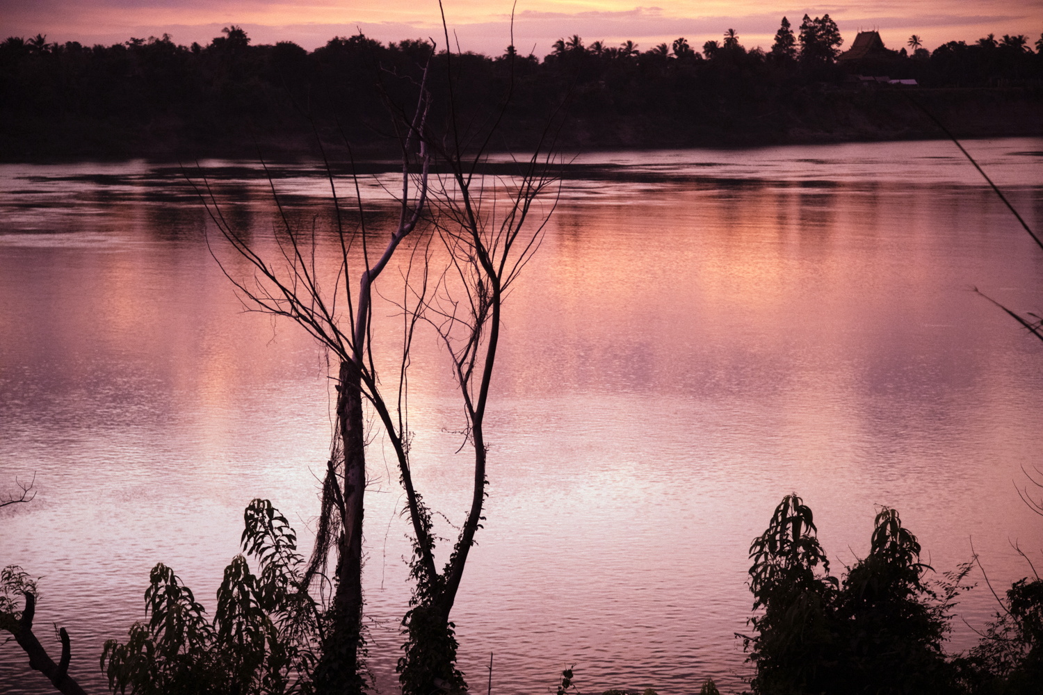 Man facing water in Cambodia — fine art photography by Jo Allaux